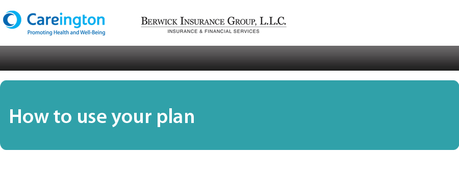 How to use your plan